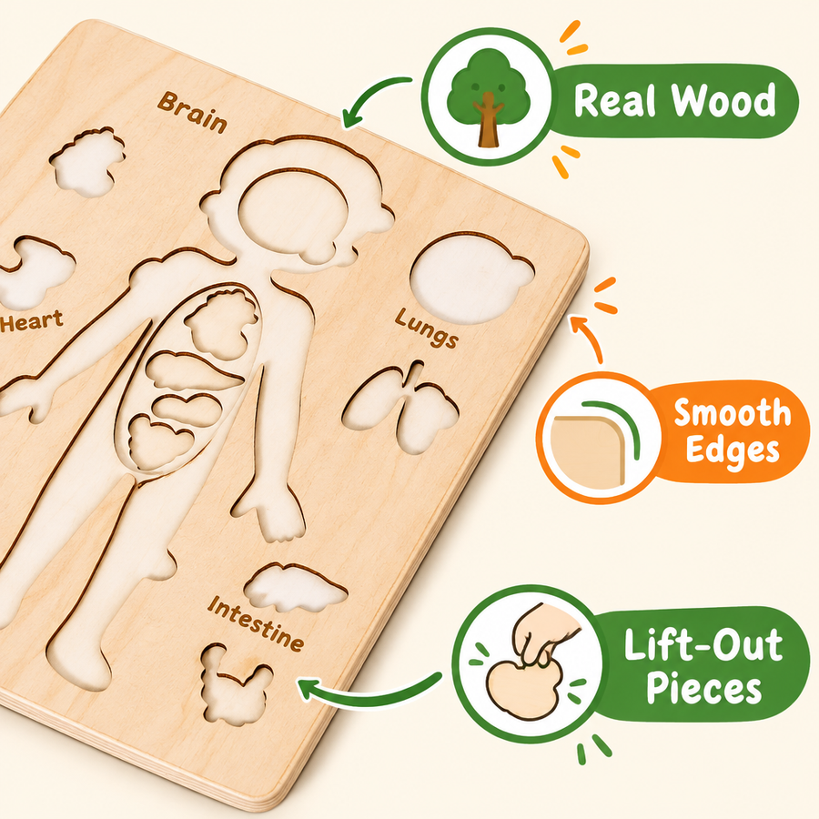 Real wood, smooth edges, lift-out pieces