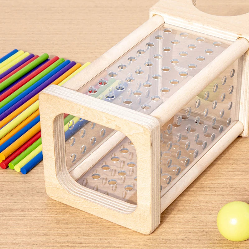 Montessori Wooden Stick Drop Game