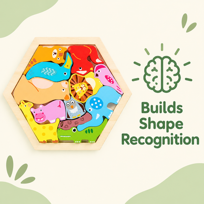 Builds shape recognition