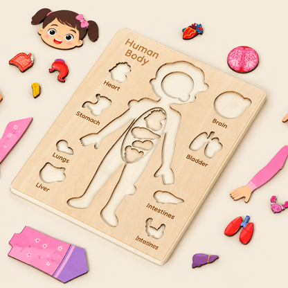 Girl body wooden puzzle board with English labels