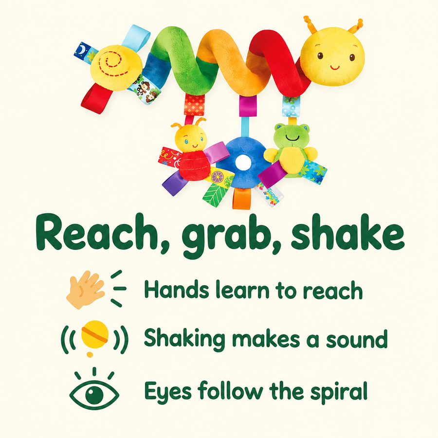 Montessori toy brain
