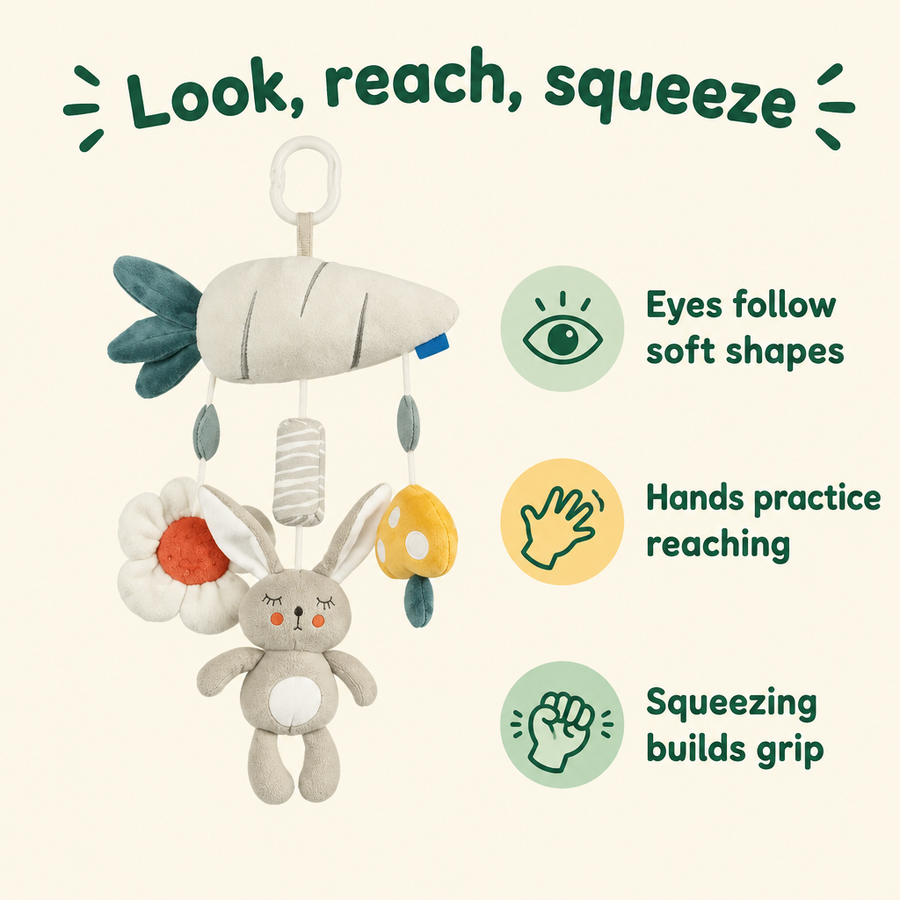 Montessori toy brain