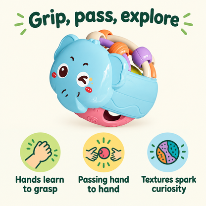 Montessori toy brain