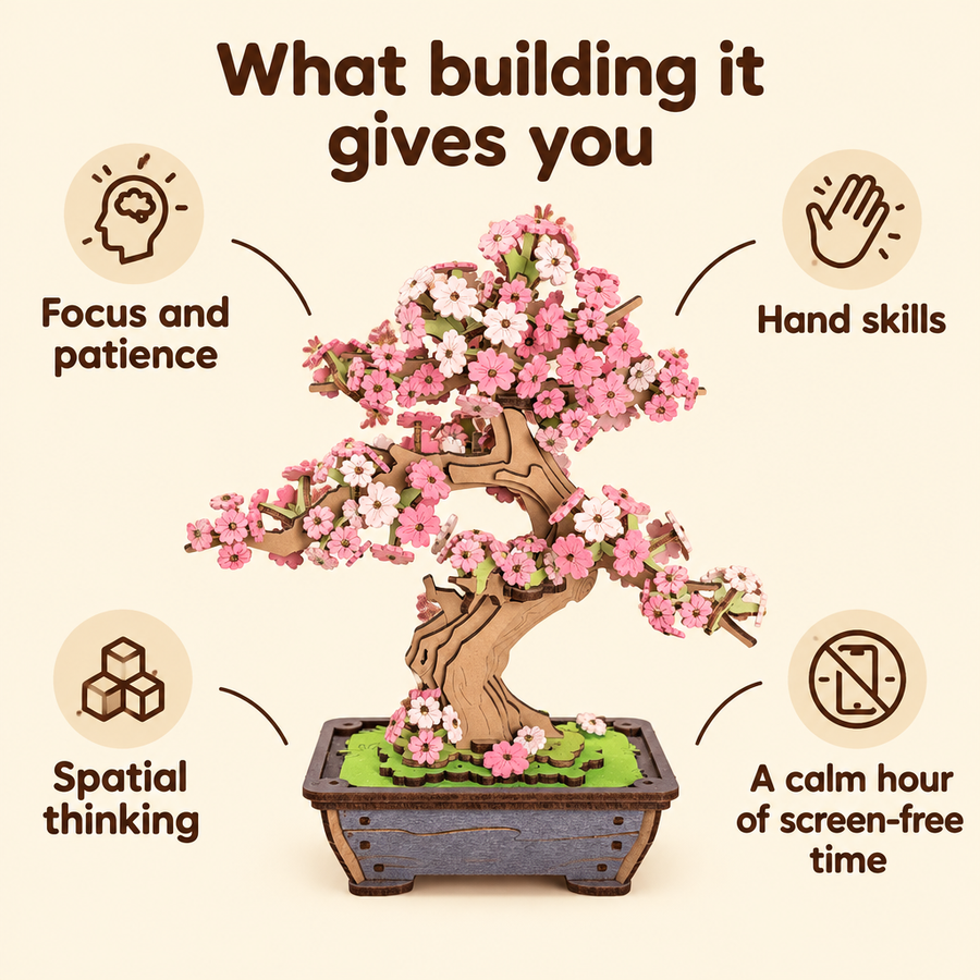 What building the bonsai gives you